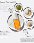 ReEvolve mirdzumu fiksējoša grima bāze, 30 ml