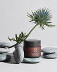 SOBER Youth Infusion Cream pretnovecošanās sejas krēms, 50 ml