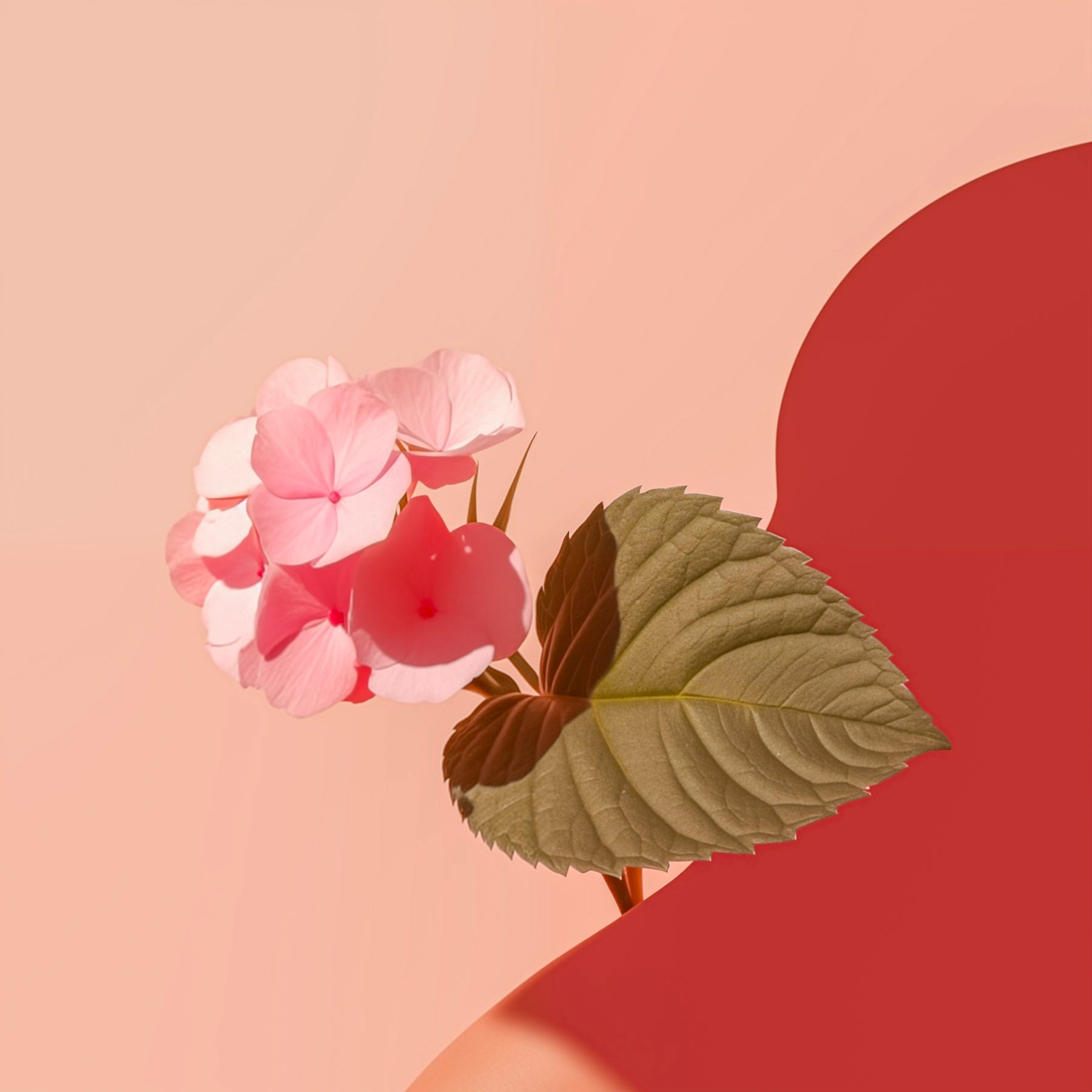 SOBER smaržas BORNEO, 50 ml