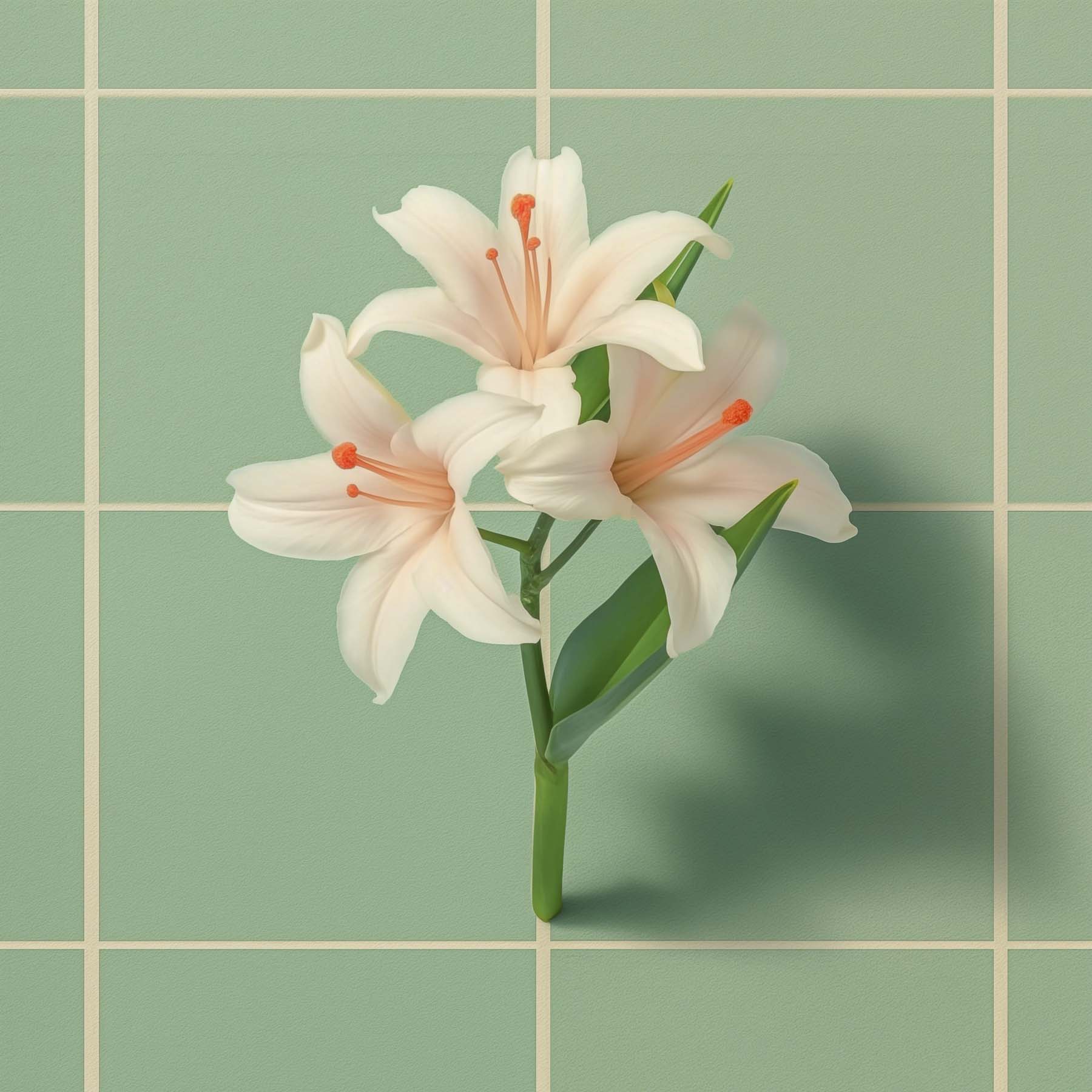 SOBER smaržas BORNEO, 50 ml