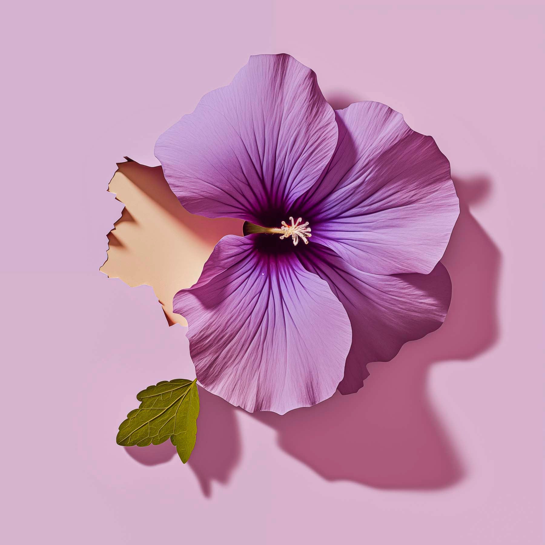 SOBER smaržas BORNEO, 50 ml