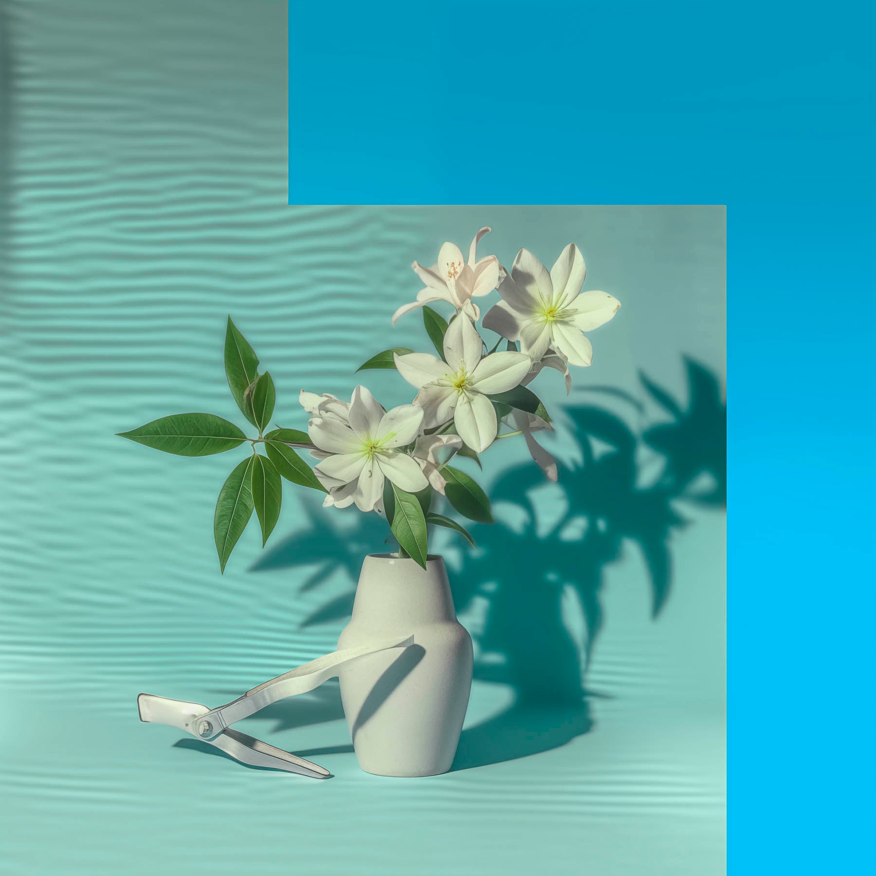 SOBER smaržas DEAUVILLE, 50 ml